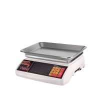 ترازوی 40 کیلوگرم رادین مدل W5600 بدون علمک